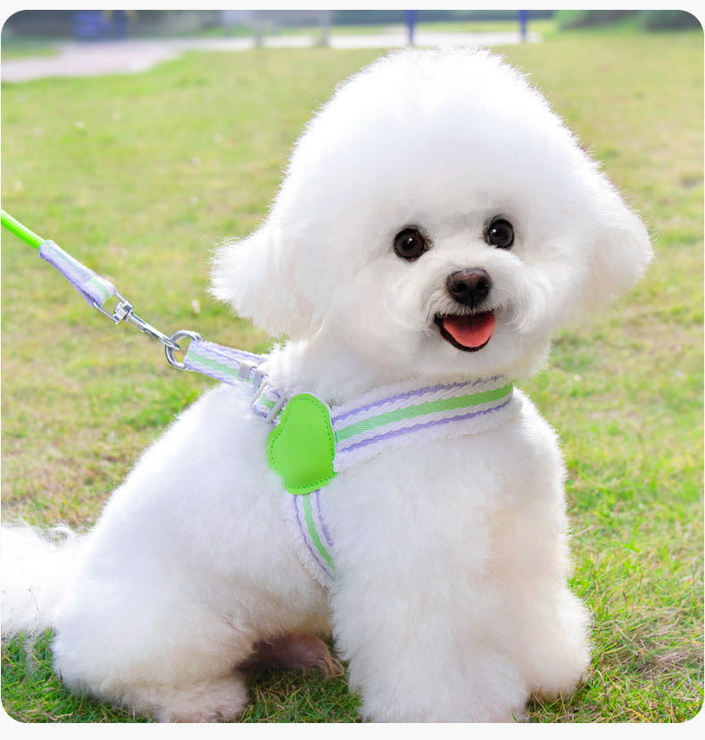 Dog Leash Summer Breathable Corgi Shiba Inu Bichon Chest Vest Walking Dog Leash Small And Medium-sized Dog Pet Supplies