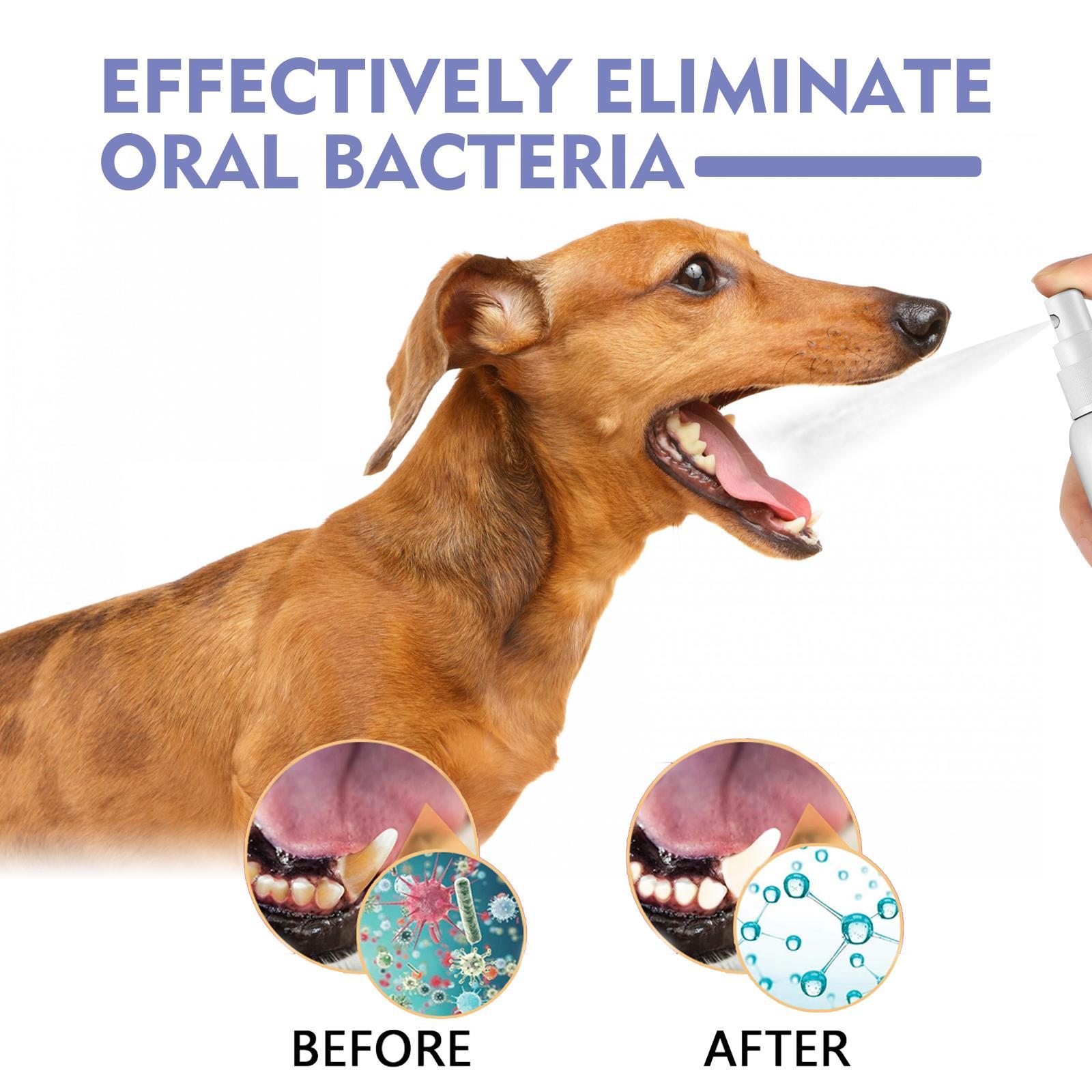 Yegebang Cat And Dog Teeth Cleaning Spray Pet Oral Cleaning Deodorizing Fresh Breath