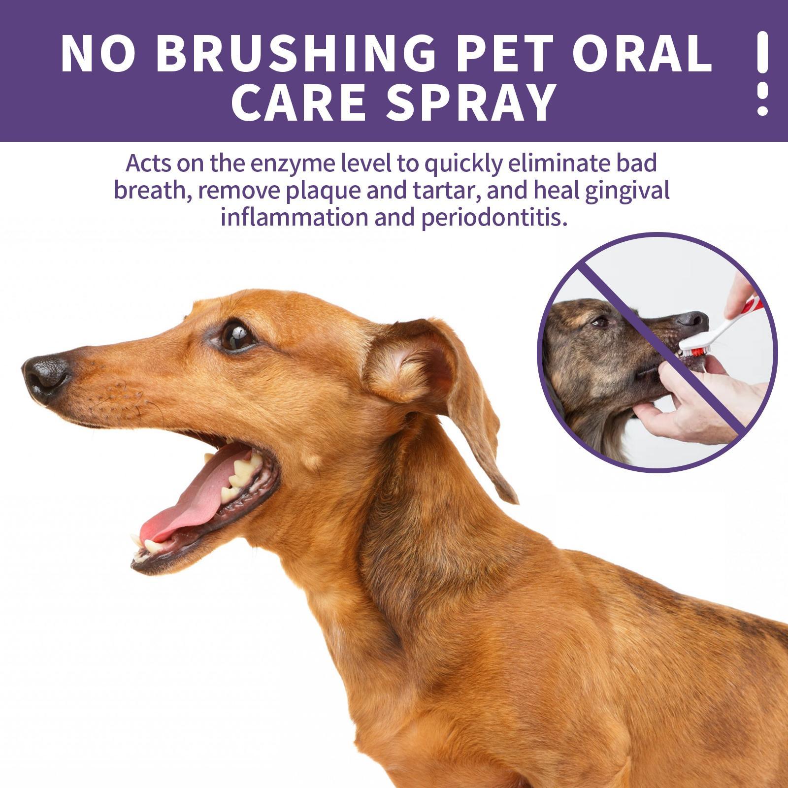 Yegebang Cat And Dog Teeth Cleaning Spray Pet Oral Cleaning Deodorizing Fresh Breath